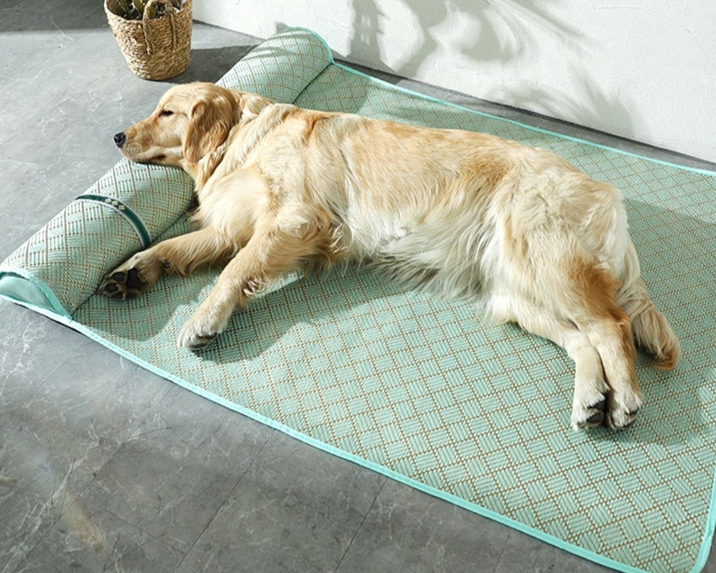 Golden retriever laying comfortably on a woven rattan Pawvia Cool Cloud dog mat with a cushioned headrest, showcasing natural cooling and support