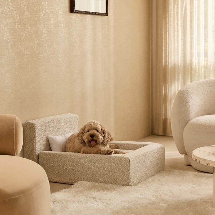 high-end designer dog bed in sand with soft cushioning
